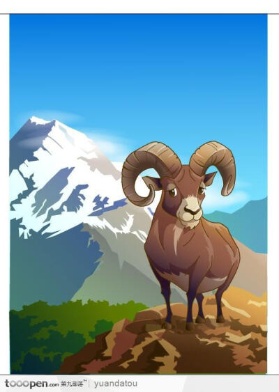 站在高山上的藏羚羊