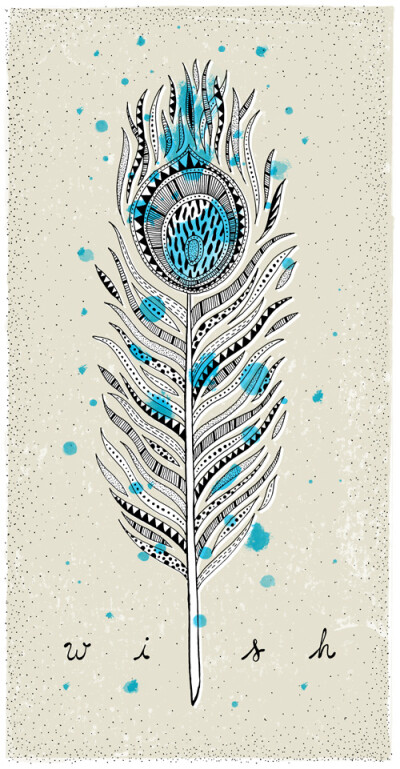 quill feather创意羽毛系列插画设计