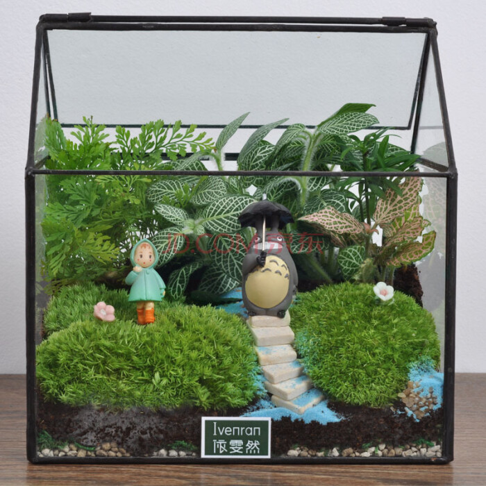 玻璃花房植物盆景鲜花绿植盆栽室内摆件创意儿童diy 堆糖 美图壁纸兴趣社区