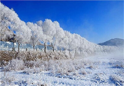 大雪冬天 堆糖,美图壁纸兴趣社区