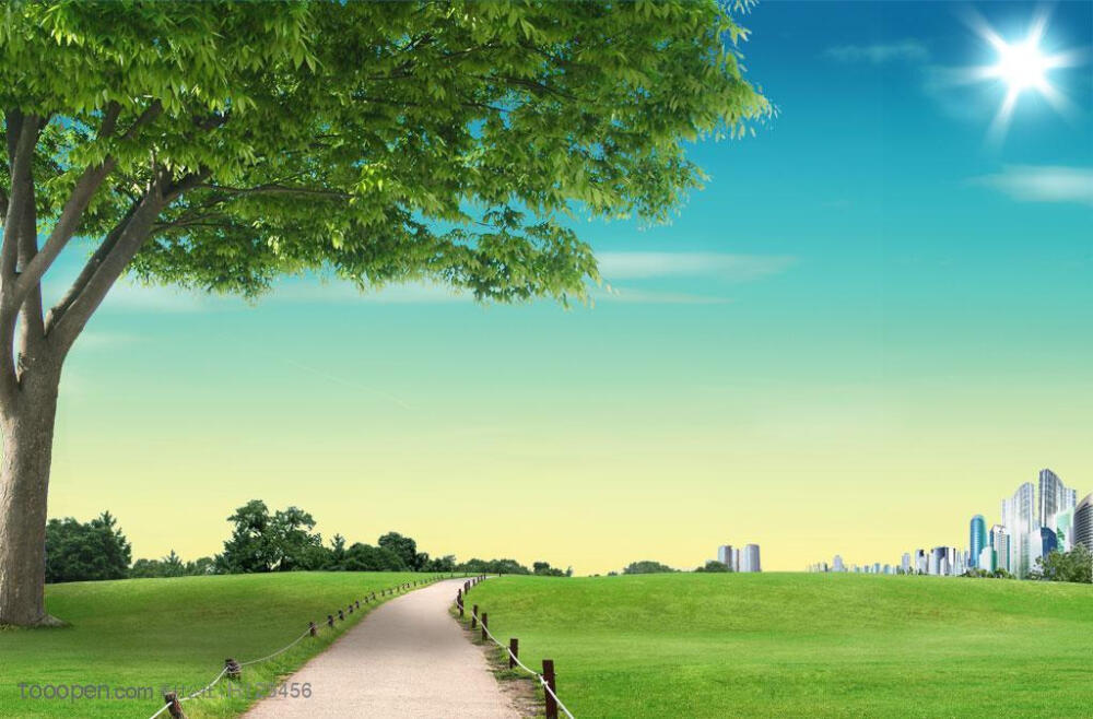 蓝天白云下草地绿地上的城市都市树木