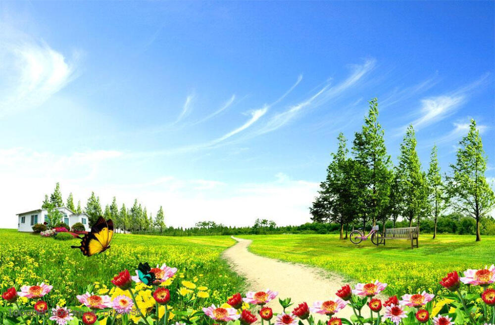 蓝天白云郊外草地绿地花朵花卉树林公园