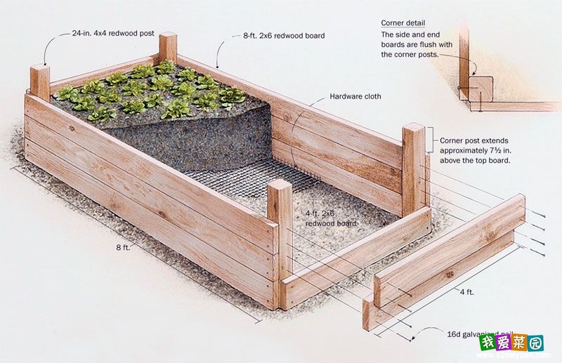 raised bed