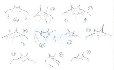 手绘参考~颈部和肩膀