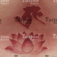 梵文莲花纹身——北京纹身店东方印记收集分享
