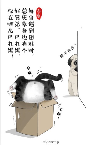 插画师白茶-吾皇·巴扎黑