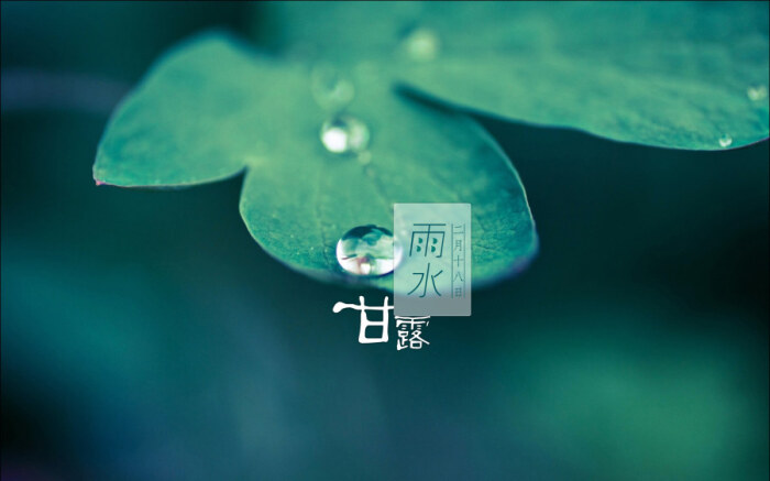 【二十四节气】雨水.