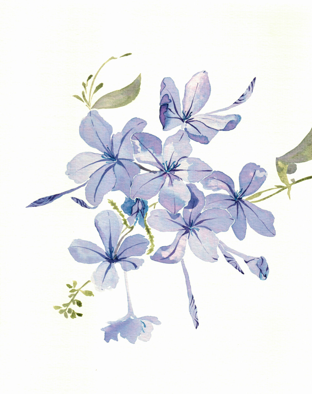 水粉画