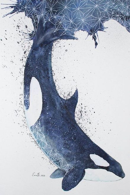 鲸鱼手绘插画图片