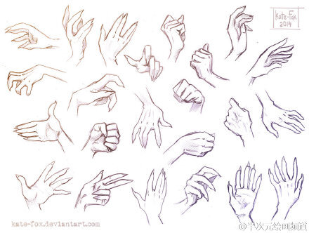 绘画教程# #参考# 手部的多角度参考!握拳… - 堆糖