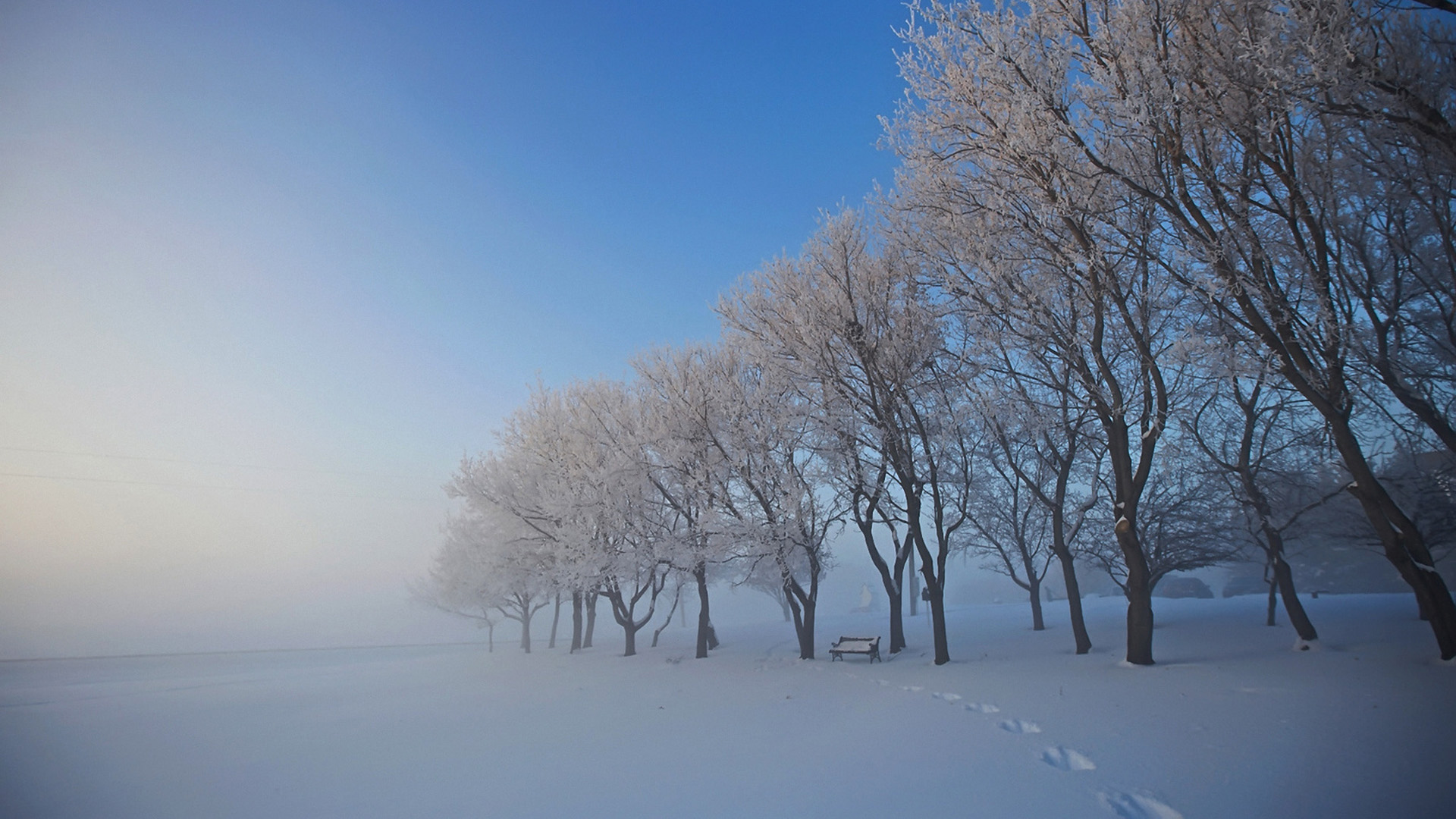 今日小编又来为大家送上一组冬季清新唯美雪景桌面壁纸,希1920_1080