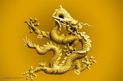 传统金色中国龙