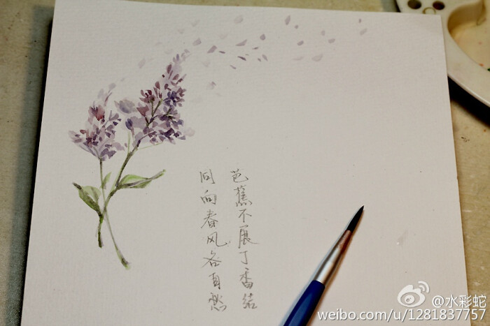 芭蕉不展丁香结,同向春风各自愁。