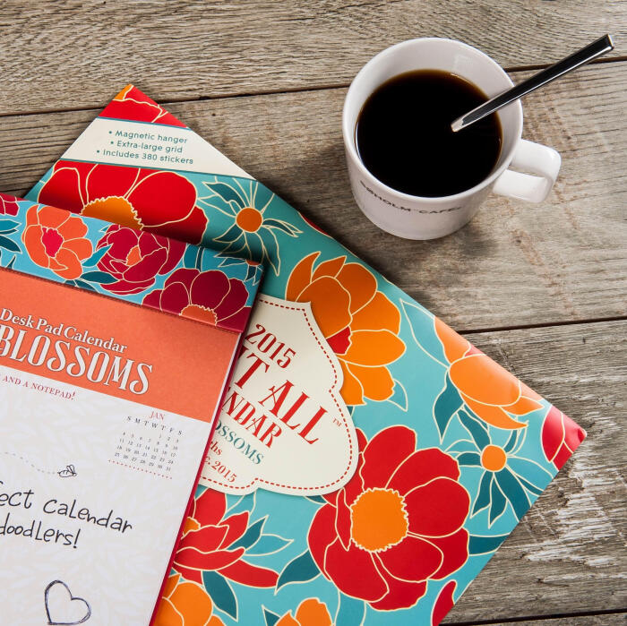 美国ocs进口全英文2015日程本可爱高档挂历台