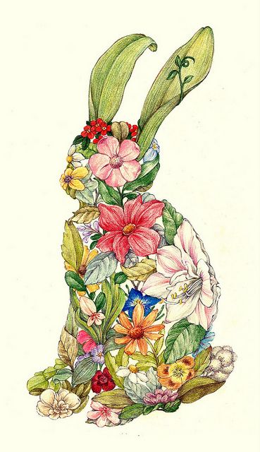 year of the rabbit by c"est_louise, via flickr, colored pencil