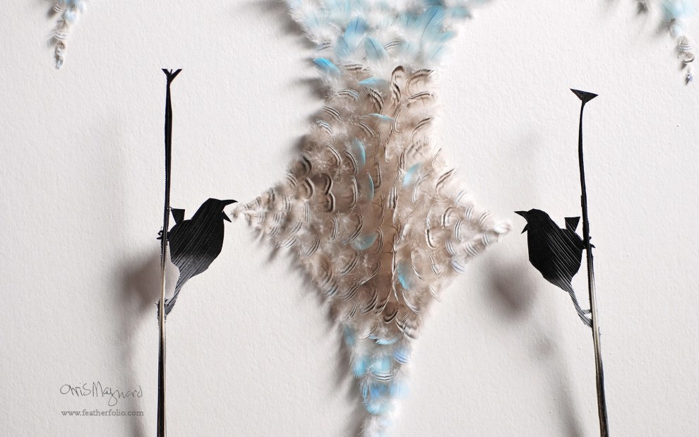 这是一组羽毛艺术创意设计桌面壁纸,非常有创意的高清壁纸,看完这组