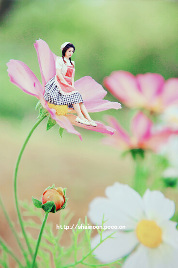 @时光森林摄影 各类商业,写真拍摄 咨询QQ…