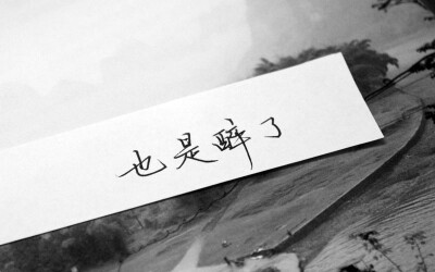 2014十大网络流行语:也是醉了_文字图片