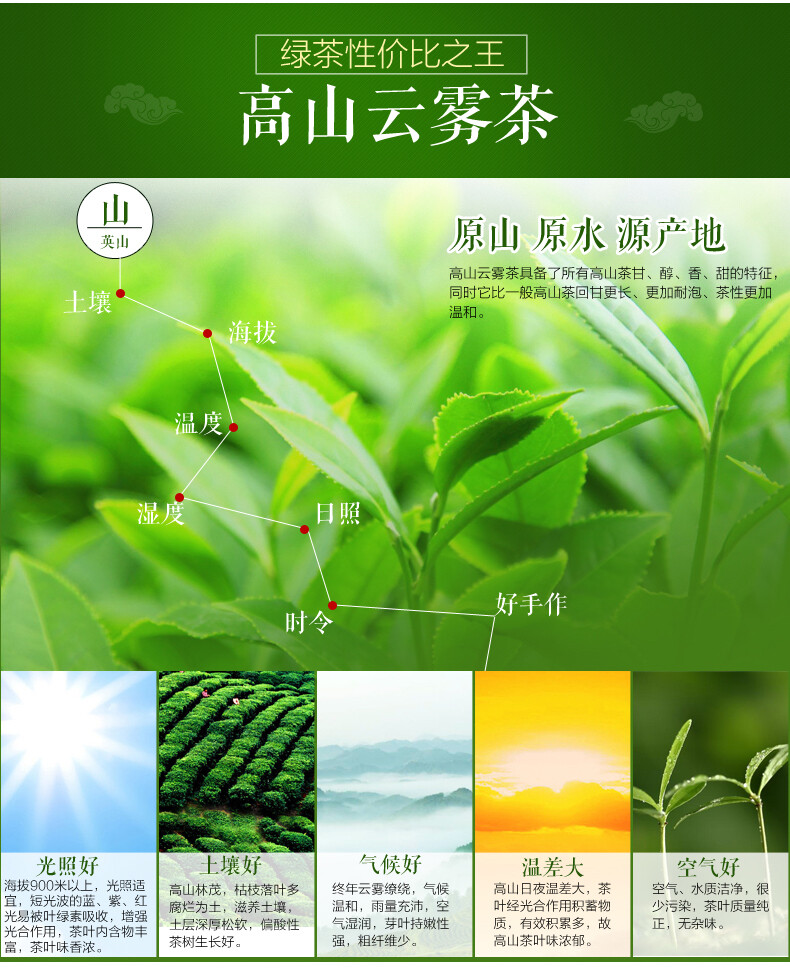 高山云雾茶叶 绿茶2015新茶春蕊茶叶春…  去看看