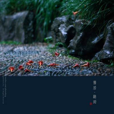 来自摄影师非与非的相片册子的诗情画意唯美意境的摄影作品,屋檐,细雨