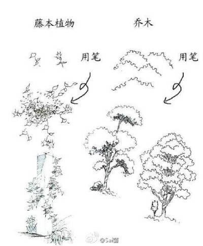 绘画学习# 手绘教程.风景线稿!简单入门,快来一起画