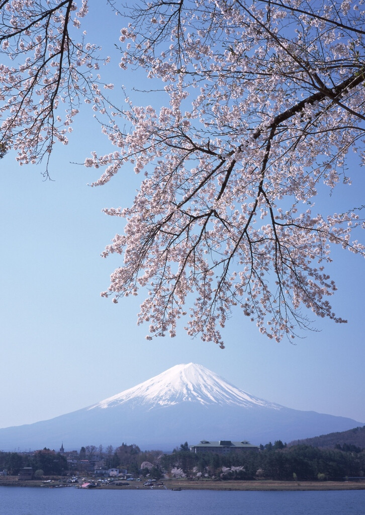 日本富士山 堆糖,美图壁纸兴趣社区