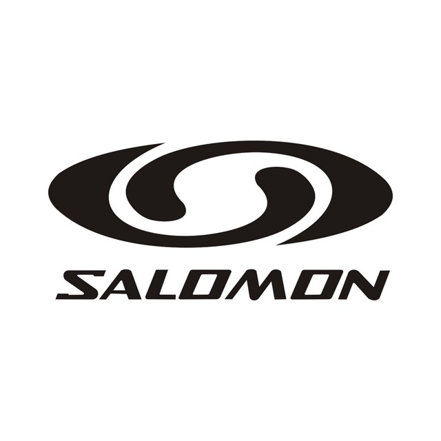 salomon公司logo