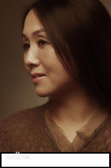 赵莉--模仿邓丽君