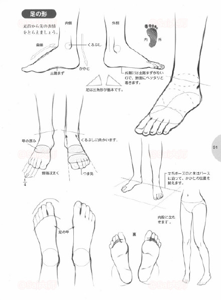 绘画学习 关与脚与鞋的画法绘制参考,转需学习