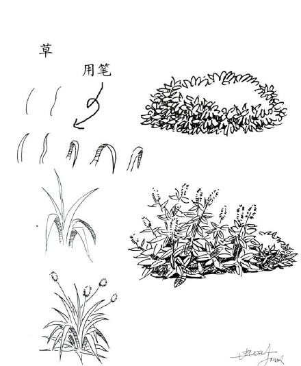 【20种植物的手绘速写技法】在最短的时间绘制出一个风景速写或景观
