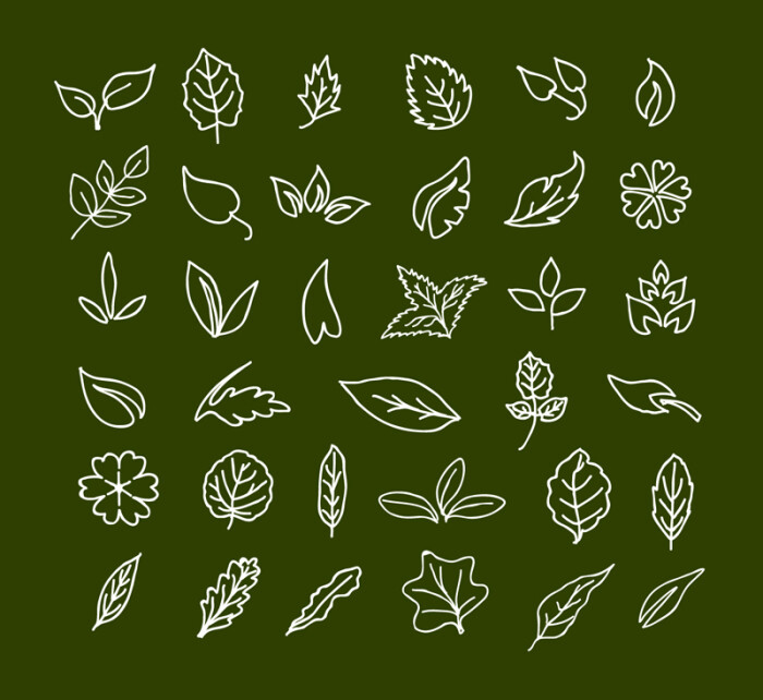 36款手绘树叶设计矢量素材素材格式ai素材关键词树叶手绘植物叶子