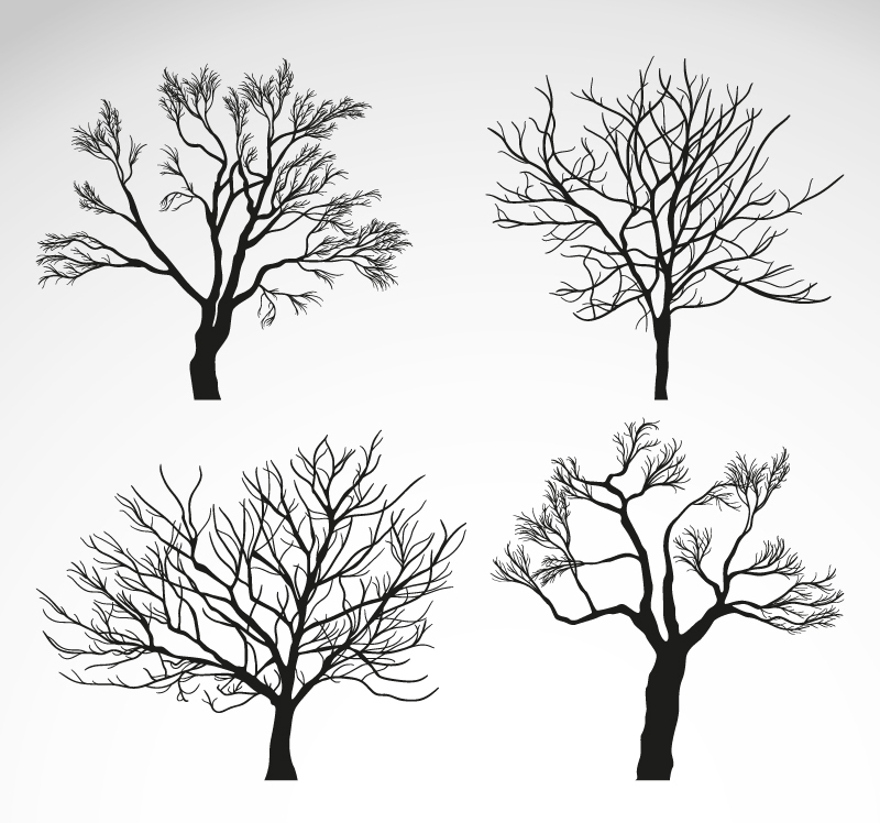 4款冬季树木矢量素材,素材格式:ai,素材关键词:树木,植物,冬季
