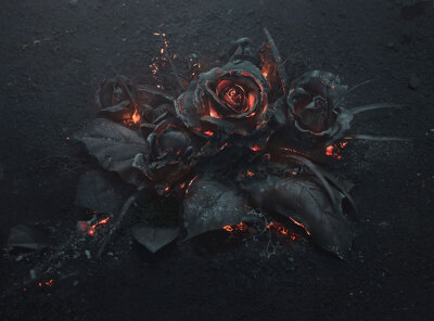 国外一位大神用燃烧的煤炭创作出来的一个作品,燃烧的黑玫瑰,简直美到
