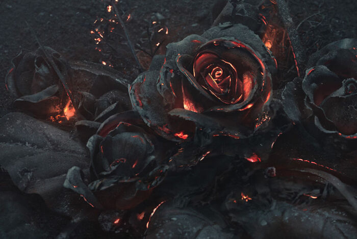 国外一位大神用燃烧的煤炭创作出来的一个作品,燃烧的黑玫瑰,简直美到