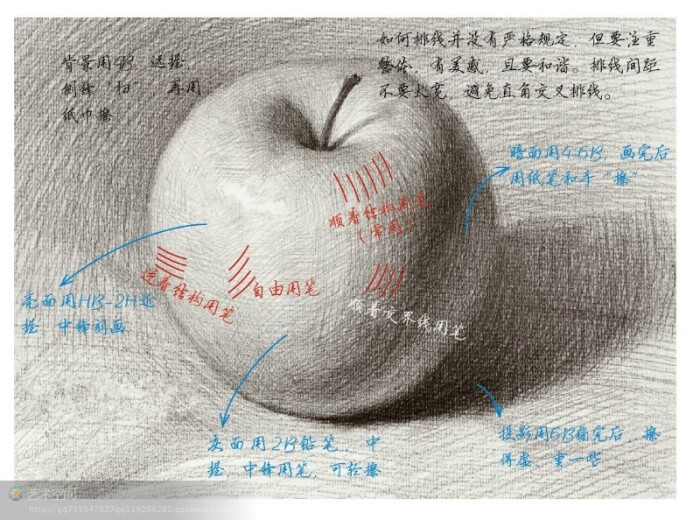 素描静物之怎样画漂亮的苹果   51美术高