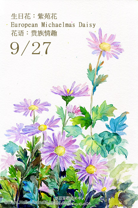 9月27日の生日花 紫苑花 花语 贵族情趣受到這種花祝福而生的人 總覺得在他身上會有貴族般的氣息 他不論是知識