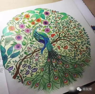 动物,手绘,水彩,插画,动漫,孔雀.