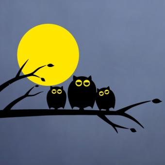 sleepy owl family 猫头鹰之家卧室床头沙发过道背景墙贴装饰贴纸