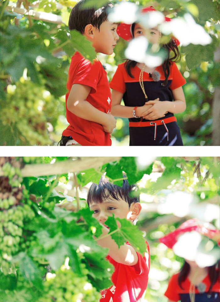 #爸爸去哪儿# 两小无嫌猜。 #夏天Poppy##诺