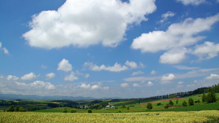 1920 1080北海道天堂 北海道的郊野 北海道郊外田园壁纸 堆糖 美图