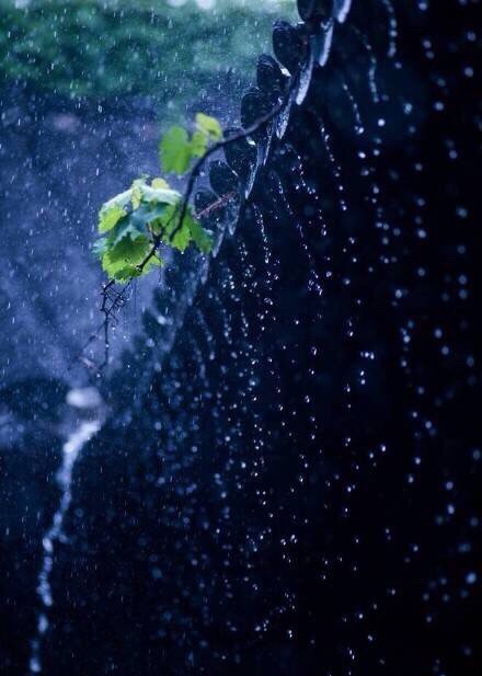 古风图片-汉服图片 【古风图片】撑一把伞听泠泠雨落下 下载次数,图片