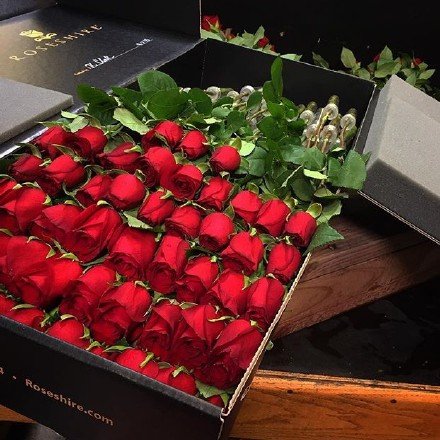 情人节的盒装玫瑰