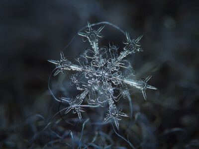 雪花