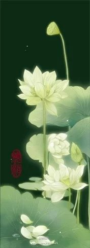 古风图片-汉服图片【古风图片【花开不记年·菡萏无香·手绘】