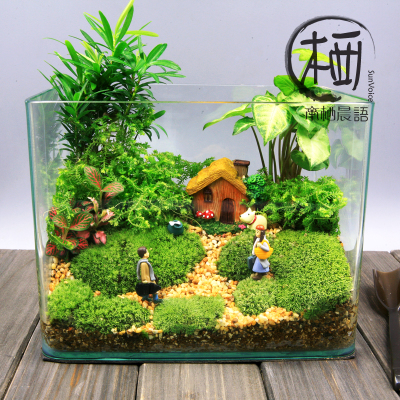 苔藓微景观生态缸创意diy玻璃植物盆栽绿植乔迁结婚圣诞节日礼物