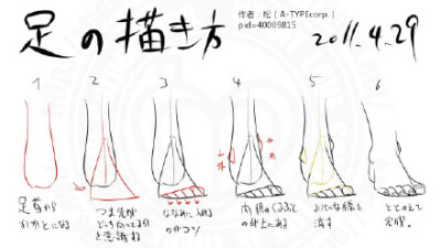 sai资源库 一组关于动漫脚踝画法参考,注意关节角度和曲线是关键哦