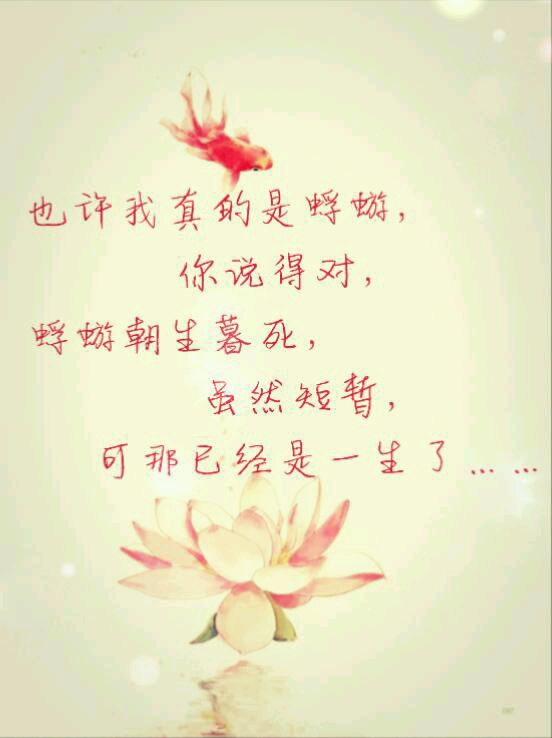 美图无需解释