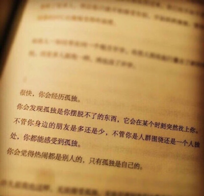 书中的优美句子