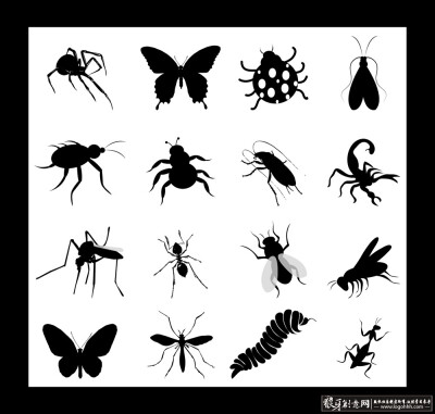 动漫/卡通画 矢量昆虫素材 各种昆虫剪影,蜘蛛蝴蝶,瓢虫蝎子蚊子,蚂蚁