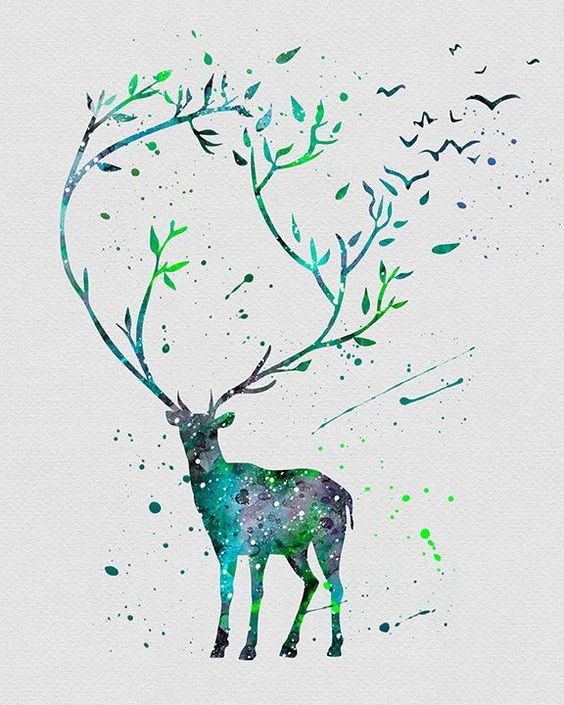 鹿,森林的精灵.